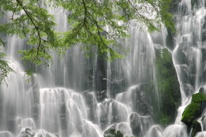 世界帆船青少年计划：基层培养体系更趋完善，世界帆船锦标赛基地